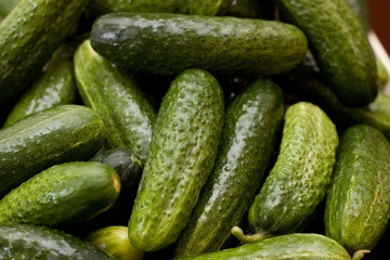 Green cucumbers background