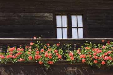 Fototapeta na wymiar Balkon z geranium