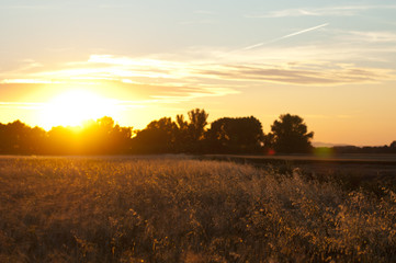 Sonnenuntergang landwirtschaft