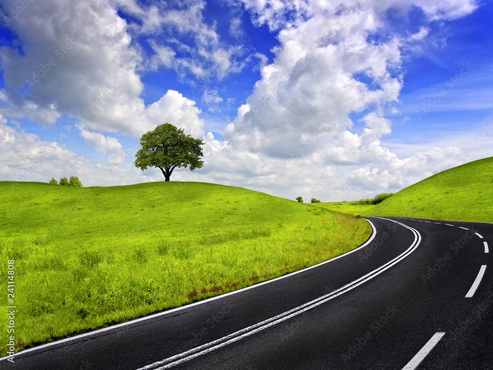 Wall mural Road and green field