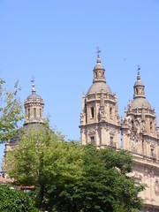 Fototapeta na wymiar Katedra w Salamance