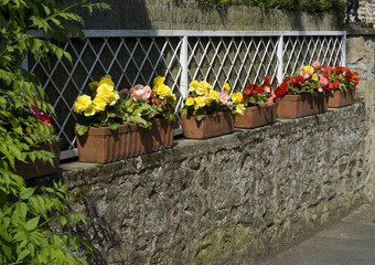 Street fence decorated with flowers