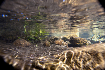 desierto de los leones