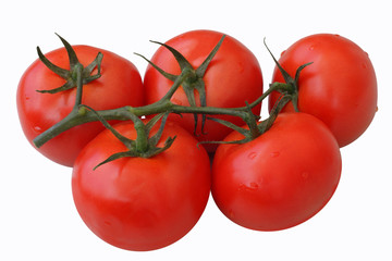 vine tomatoe