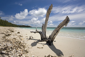 am Strand