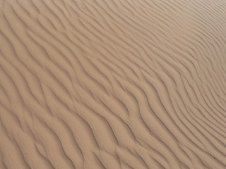 Fototapeta na wymiar Wellen im Sand 03