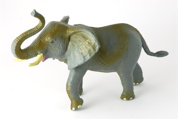 Toy elephant with white background