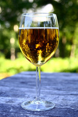 Glass of cold dutch beer