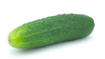 ripe cucumber