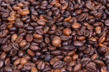 Coffee Beans