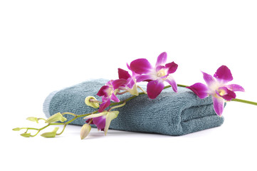 Beautiful pink orchid with blue towel