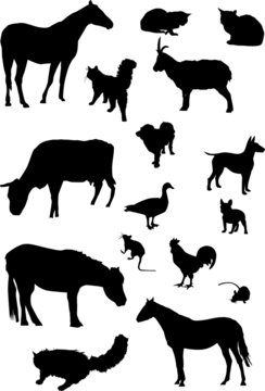 farm animals silhouette collection