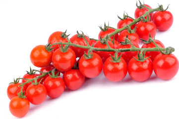 Grappes de tomates cerises