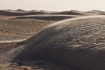 Derserto Bianco,Tunisia