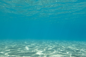 Sunlight reflecting on a the bottom of a shallow underwater bay.