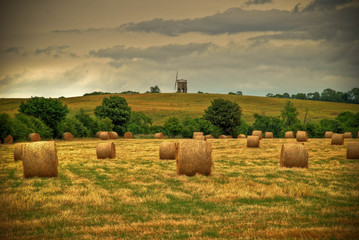 Field with hay bales and windmill in background