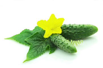 young cucumbers