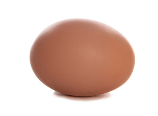 Single fresh egg cutout
