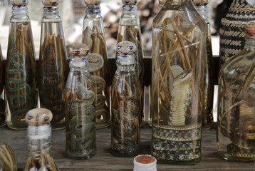 Schlangen in Schnapsflaschen