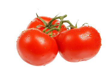 fresh tomatoes