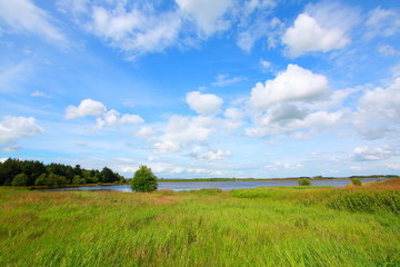 Fototapeta premium Scottish Summer landscape
