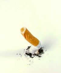 Cigarette butt isolated on white background