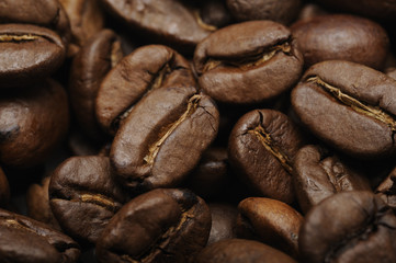 Kaffeebohnen Arabica