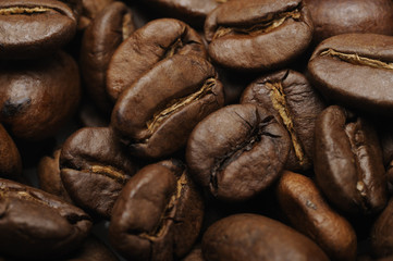 Kaffeebohnen Arabica