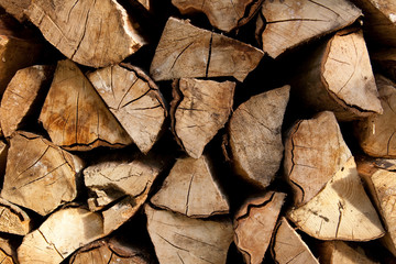 Holz