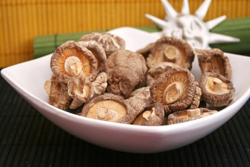 shiitake pilze