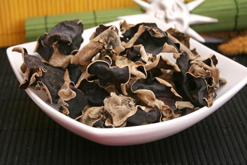 Mu-Err Pilze