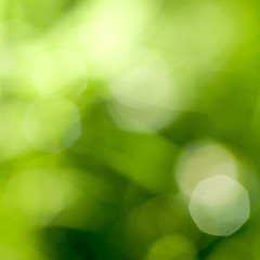 abstract green natural backgound © artjazz