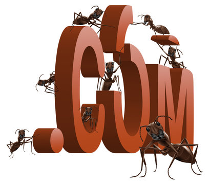 website building