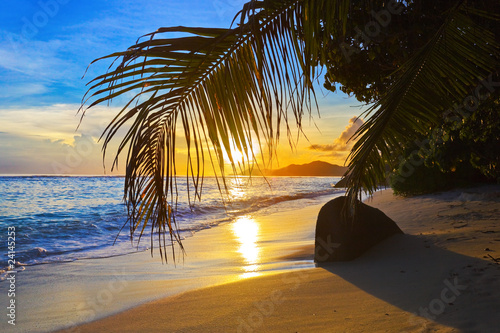 отдых пальма пляж побережье море солнце закат загрузить