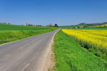 Fototapeta premium route communale