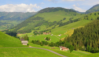 Fototapeta premium suisse verte