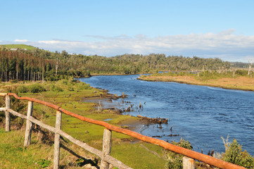 Fototapeta na wymiar Rivière chilienne