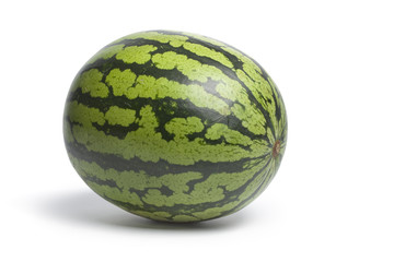 One whole single water melon