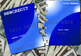 Credit Puzzle