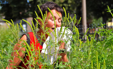 Frau nießend mit Taschentuch hinter Ambrosiapflanzen