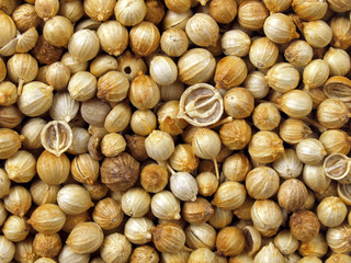 coriander seeds