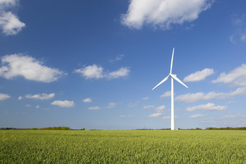 Windmill