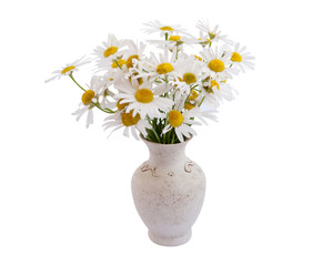 vase of daisies