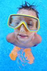 Fototapeta premium Taucher