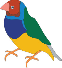 Parrot color 01