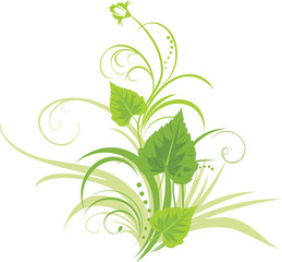 Birch leaves with floral ornament. Vector