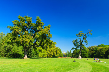green park with blue sky