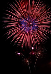 Obraz premium The flower of Firework