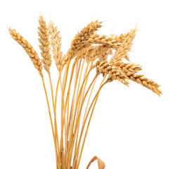 Obraz premium Isolated bunch of wheat