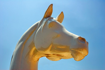 Horse head © claudiozacc